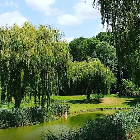 L'echappee De - Terrasse - Clim